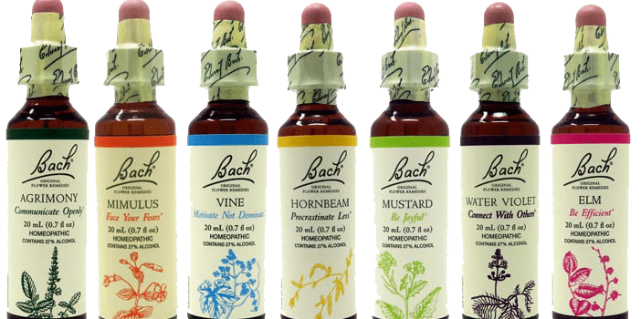 The Original Bach Flower Remedies - Information for Humans and Animals The Original Bach Flower Remedies - Information for Humans and Animals