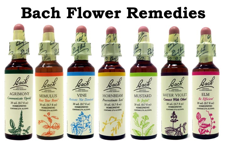 Premise bulge Communication network The Original Bach Flower Remedies - Information for Humans and Animals