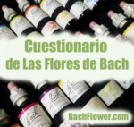Cuestionario de Las Flores de Bach 