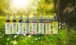 Bach Flower Remedies Education